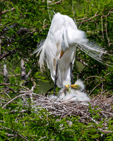 _Q0A3390-Edit